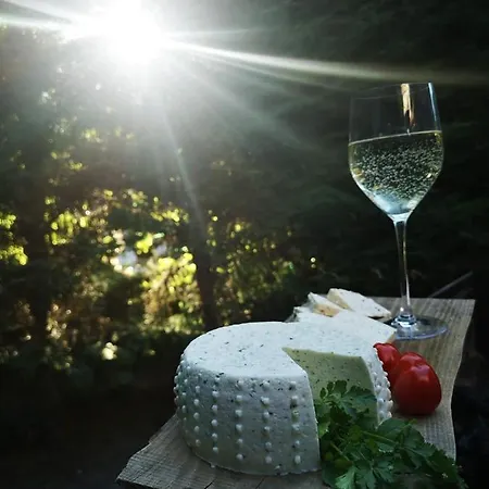 Orseg Kincse Udvarhaz